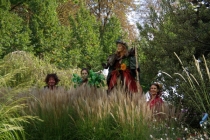 La Forêt en Féérie