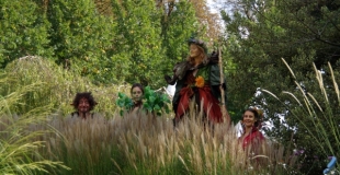 La Forêt en Féérie