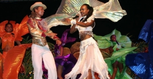show tropical : la fiesta tropicale