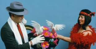 apparitions de colombes