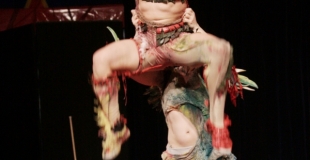 mains à mains, acrobatire, animalité, Photo de Didier NOGHERO