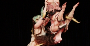 mains à mains, acrobatie, animalité Photo de Didier NOGHERO