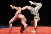 mains à mains, acrobatie, animalité Photo de Didier NOGHERO