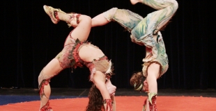 mains à mains, acrobatie, animalité Photo de Didier NOGHERO