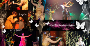 Spectacle de magie 