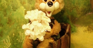 Petit robin. Image  mariska val de loire