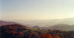 peut-être est ce là?