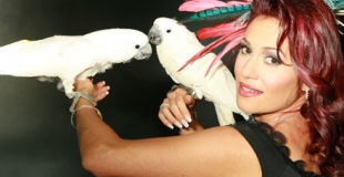 Close up avec perroquets blancs