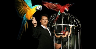 Magicienne dans la cage