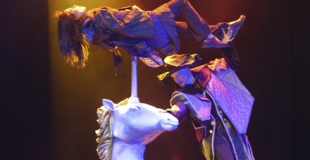 Transpercement Licorne