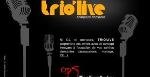 Soirée dansante pour mariage, CE, associations, Comités des Fêtes