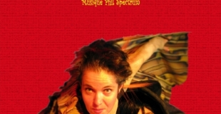 affiche du spectacle