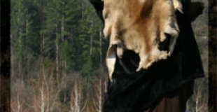 déambulation de rue d'echassier conteur