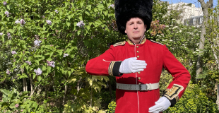 Animation au pays des merveilles.