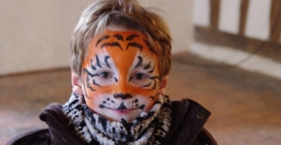 Visage de fées - Tigrou