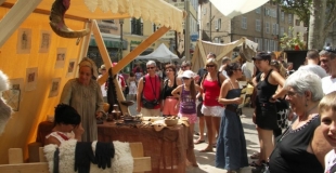 Engelgerbe, l'aracheuse de dents