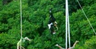 Chorégraphies aériennes et musique en l'air