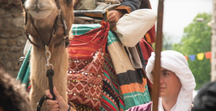 Armutan. Ballade en dromadaires