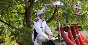 Spectacle de rue Les PourKoaPas