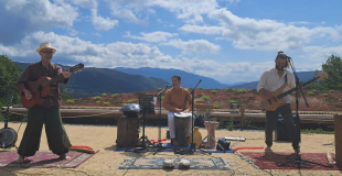 Le voyage de Germaine la petite graine