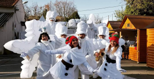 LES FLOCONS DU POLE NORD