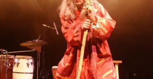 le Sorcier du Peuple de la Forêt