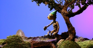 Otus près de l'arbre