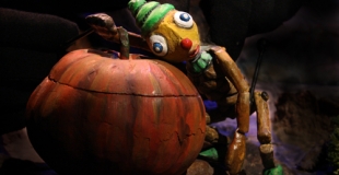 Otus et la citrouille