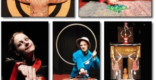 Les numéros réalisés avec le public