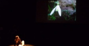 La fleur parfaite...