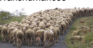 L'affiche du spectacle