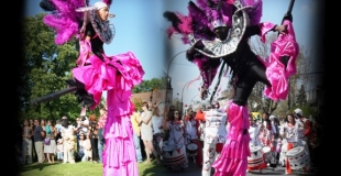 Échassiers danseurs Sambéchasses