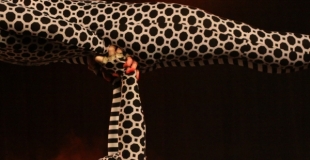 portés acrobatiques, duo féminins, acrobatie, main à main, photo de Didier NOGHERO