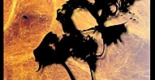 portés acrobatiques, main à main, acrobatie, théâtre, clown, rue, cirque, nature, écologie,duo fémin