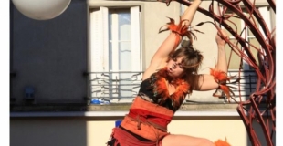 aniamilité, main à main, acrobatie, déambualtion, rue , animal