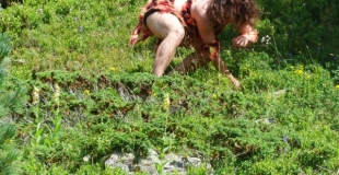 aniamilité, main à main, acrobatie, déambulation, rue