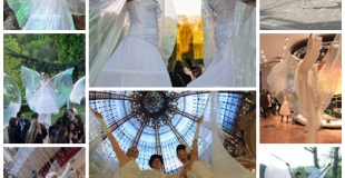 échasses, déambulation, rue, lumineux, animation, musique, jonleur, monocycle