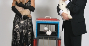 Magicien et sa partenaire apparition d'animaux