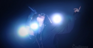 Chanteuse, animation de soirées