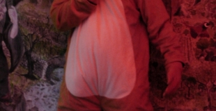 Mimosa la souris géante.