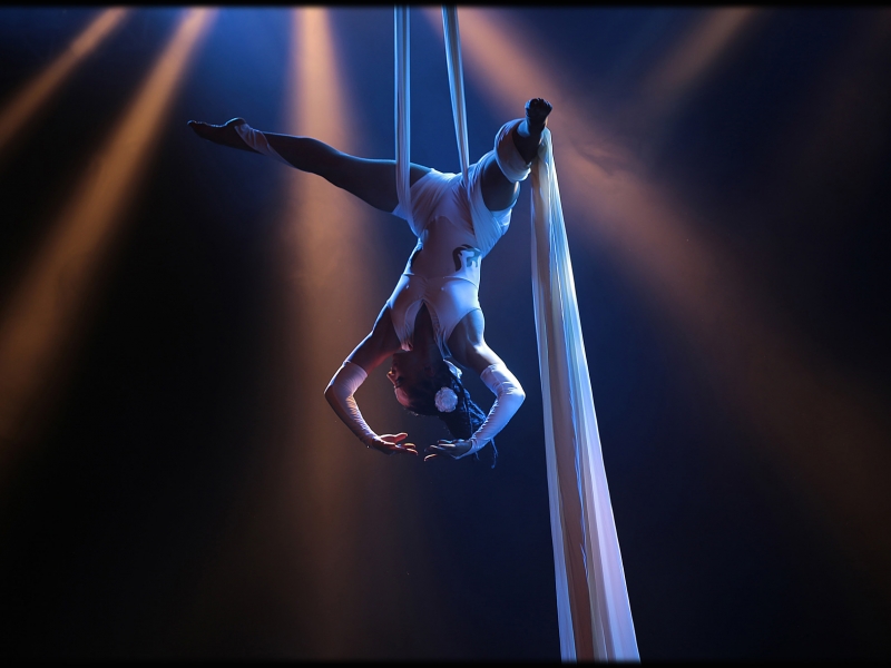 Animation Cerceau aérien - Initiation Cirque