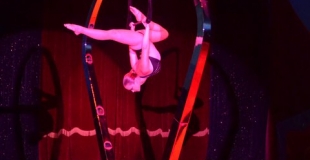 Cerceau aérien, numéro de cirque