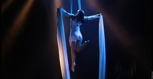 Tissu aérien, numéro de cirque