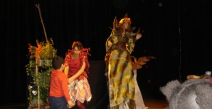 un spectacle interactif