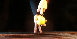 Marionnettes, clown, arbre de noel