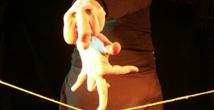 Marionnettes, clown, arbre de noel