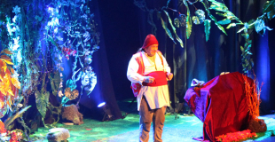 la fée katellig conte musical pour enfants et arbre de noël en bretagne, angers, le mans, rennes, la