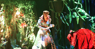 la fée Katellig, conte pour enfants, chansons pour enfants,arbres de noël