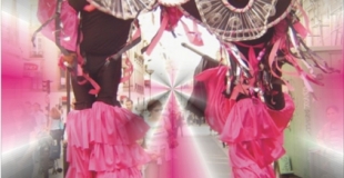 les échassiers danseurs Sambéchasse de Couleur des Tropiques, 1 à 2 artistes