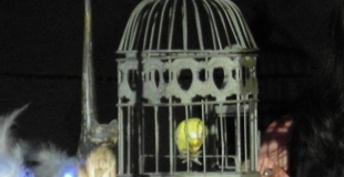 Pascale Reigner Jeu/chant